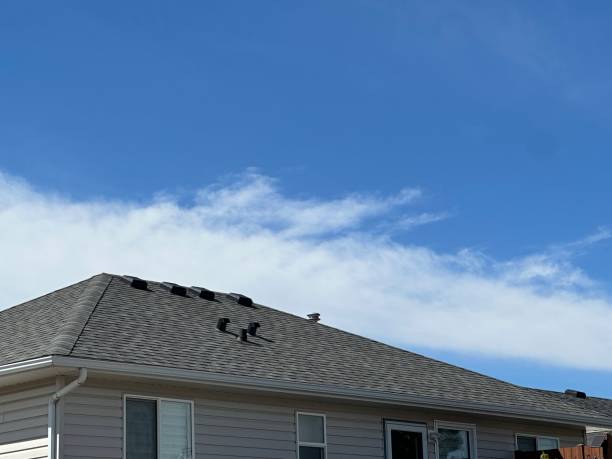 Best Rubber Roofing (EPDM, TPO)  in Shippensburg University, PA